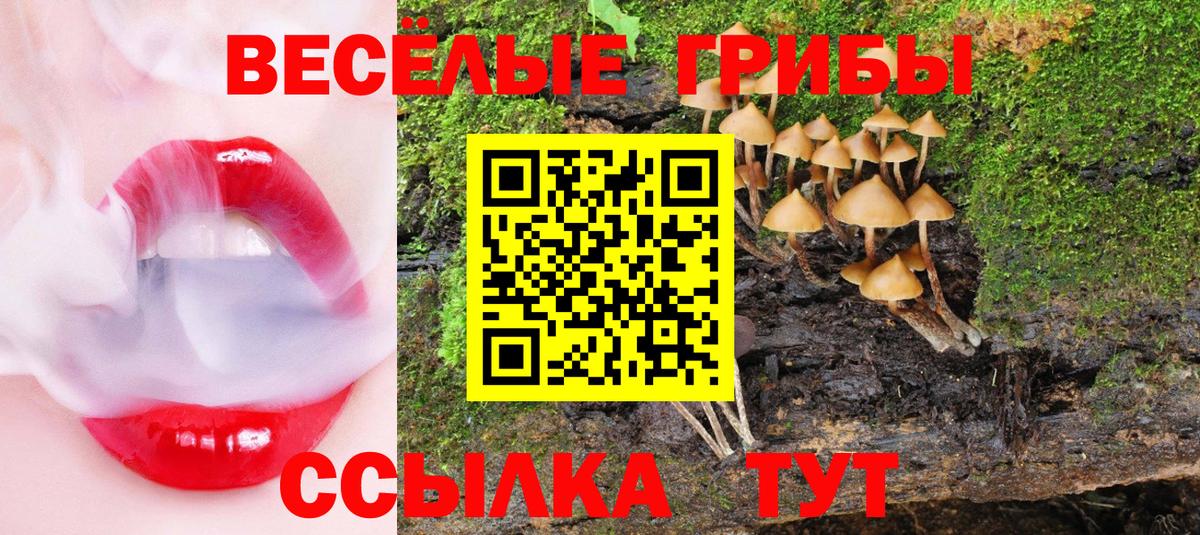 Петрозаводск  Галлюциногенные грибы прущие грибы  Вход с VPN 